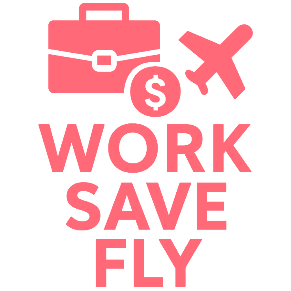 Work Save Fly